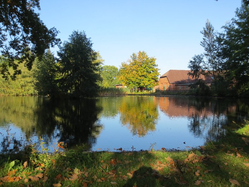 IMG_2578.JPG, 01.10.2012