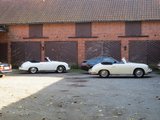 IMG_2560.JPG