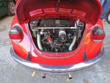 IMG_2574.JPG