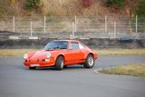 DSC_6168.JPG