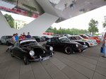 IMG_8334.JPG