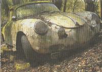356.jpg